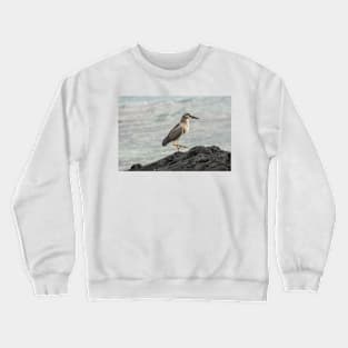 Black-crowned night heron of hawaii 3 Crewneck Sweatshirt